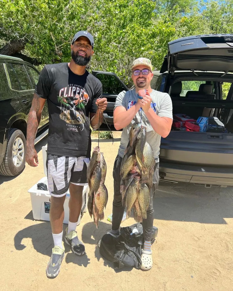 打实的几率 打实的几率